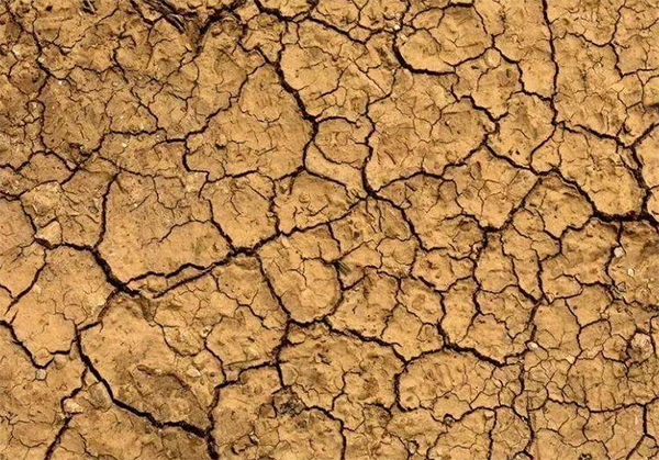 土壤板結.jpg 土壤板結.jpg